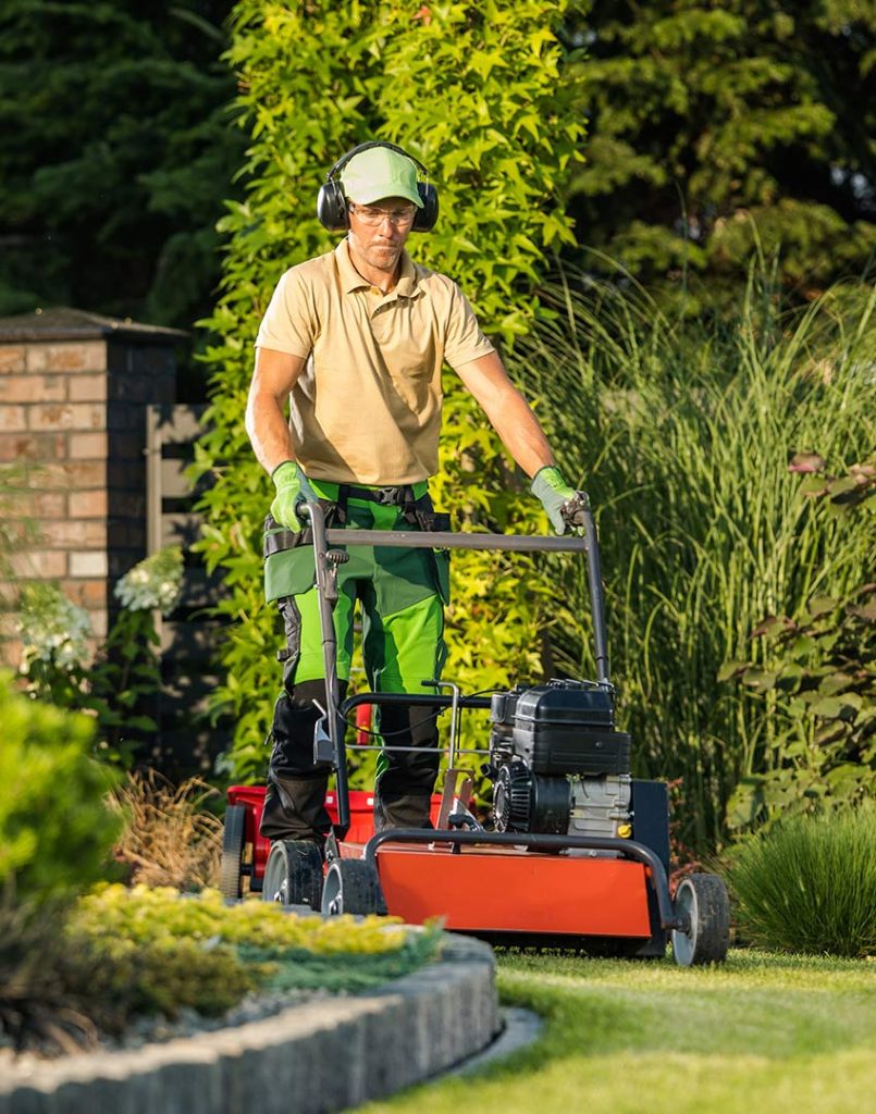 Inicio 1 garden lawn maintenance 2023 11 27 05 01 43 LCJRA6P